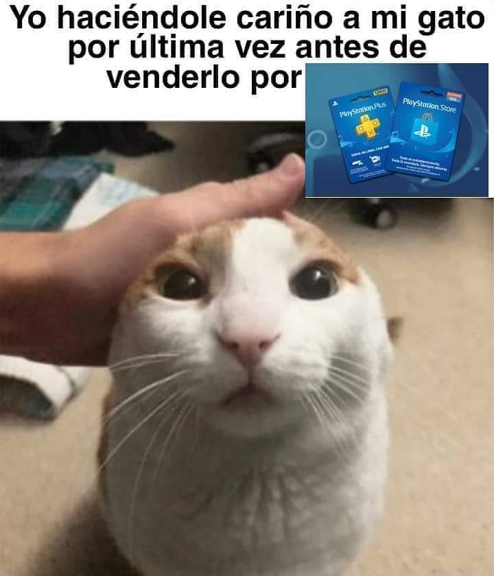 Meme Videojuegos Dandole Amor A Mi Gato Antes De Venderlo Por Playstation Plus Laglvlcom 